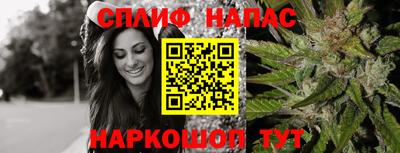 дмт Тара