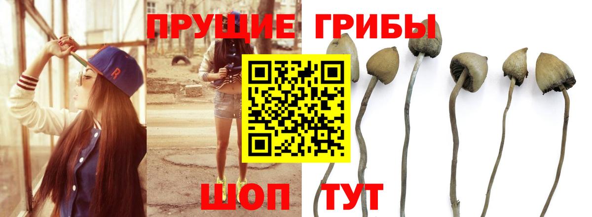 Галлюциногенные грибы мицелий  Вход с VPN  Нальчик 
