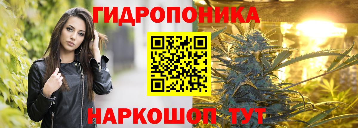 Конопля конопля Нальчик